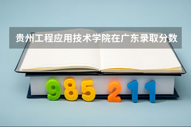贵州工程应用技术学院在广东录取分数是多少 贵州工程应用技术学院广东招多少人