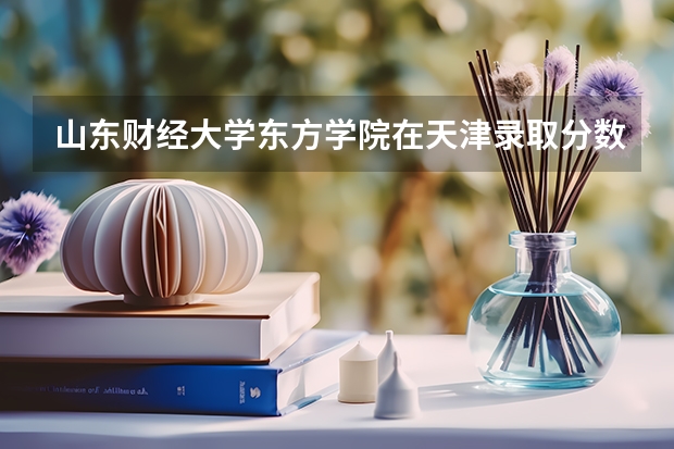 山东财经大学东方学院在天津录取分数是多少 山东财经大学东方学院天津招多少人