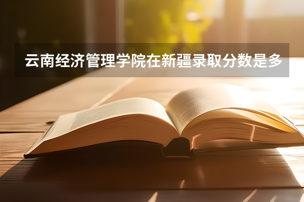 云南经济管理学院在新疆录取分数是多少 云南经济管理学院新疆招多少人