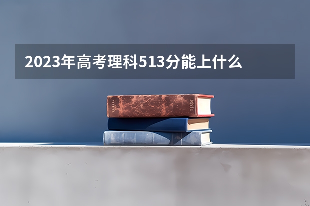 2023年高考理科513分能上什么大学
