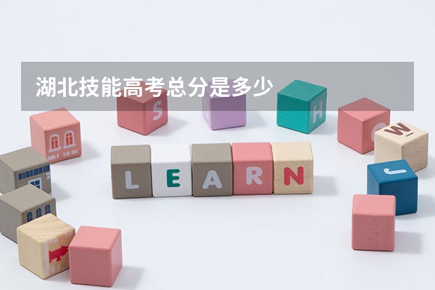 湖北技能高考总分是多少