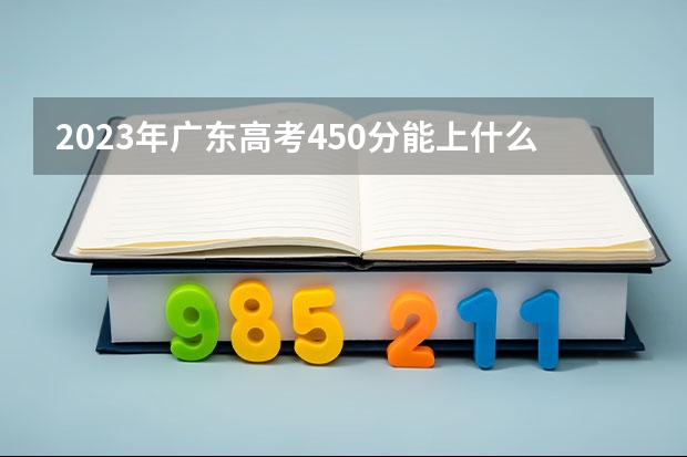 2023年广东高考450分能上什么大学