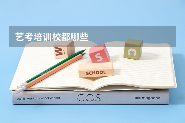 艺考培训校都哪些