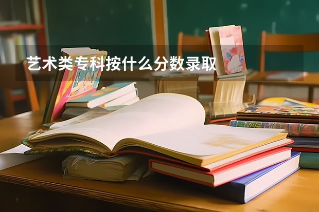 艺术类专科按什么分数录取