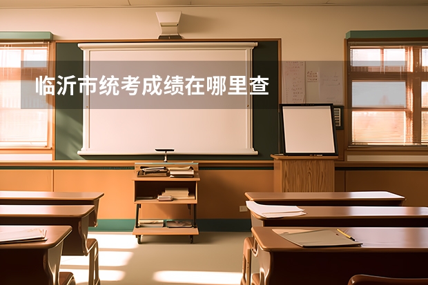 临沂市统考成绩在哪里查