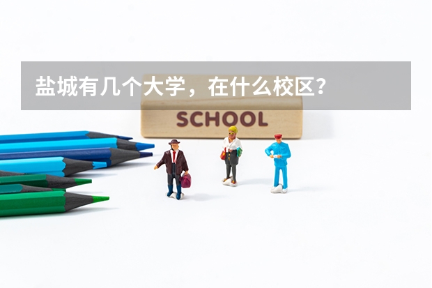 盐城有几个大学，在什么校区？