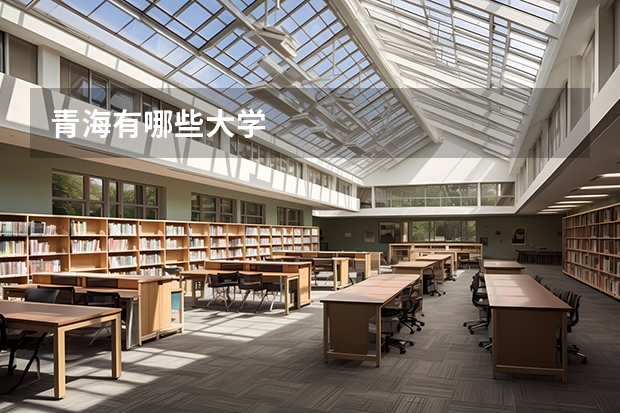 青海有哪些大学