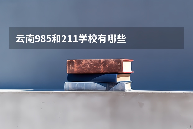 云南985和211学校有哪些
