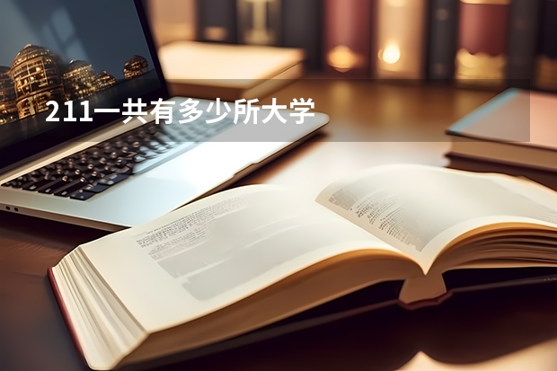 211一共有多少所大学