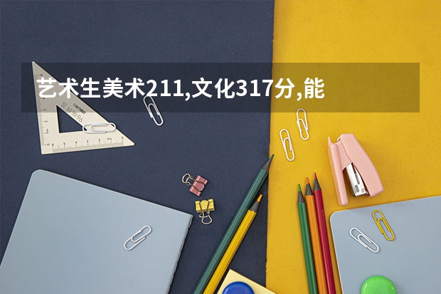 艺术生美术211,文化317分,能上南京哪些学校