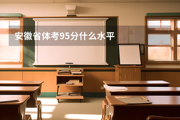 安徽省体考95分什么水平