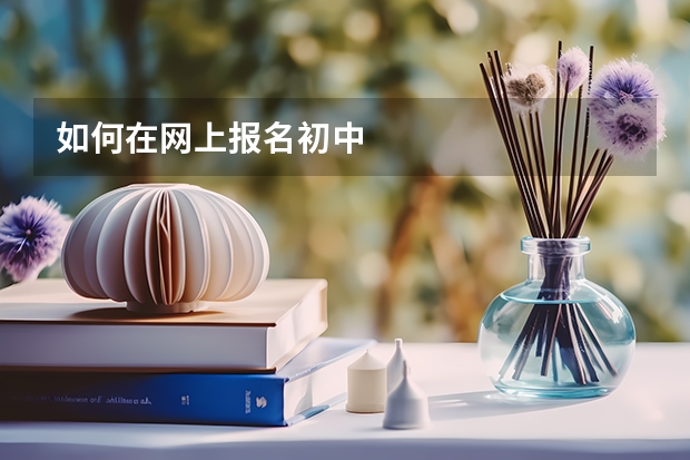 如何在网上报名初中