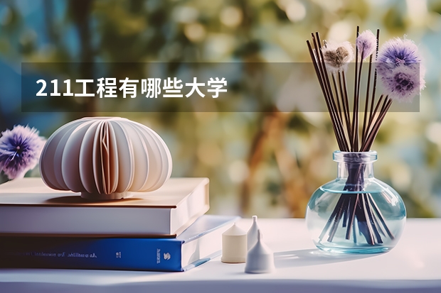 211工程有哪些大学