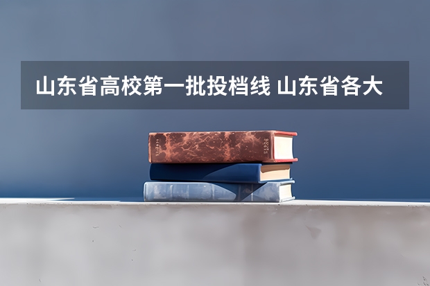 山东省高校第一批投档线 山东省各大学录取分数线