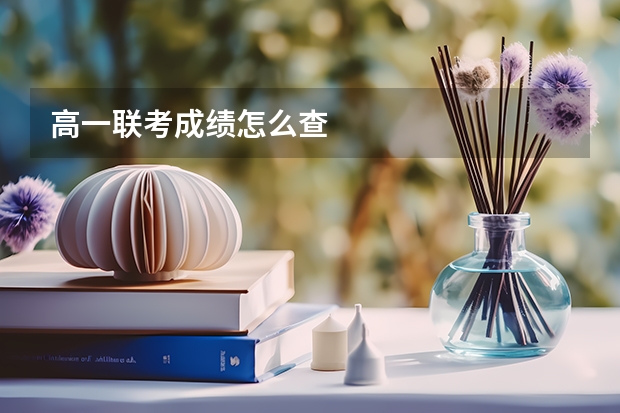 高一联考成绩怎么查