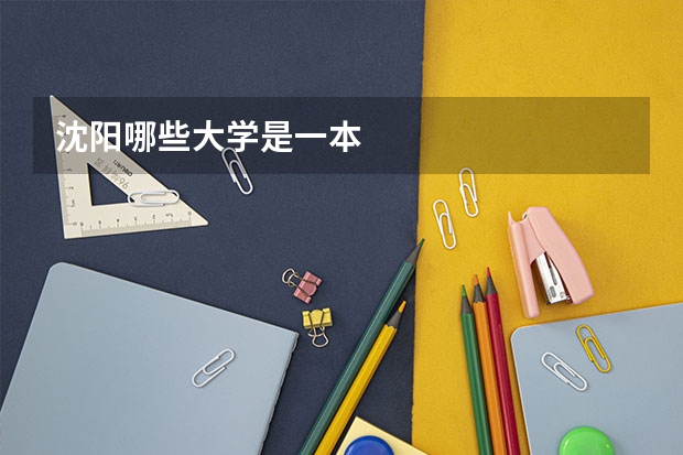 沈阳哪些大学是一本
