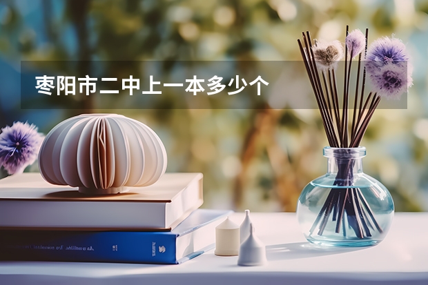 枣阳市二中上一本多少个