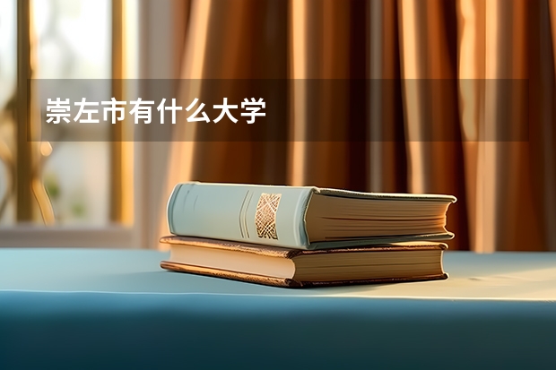 崇左市有什么大学