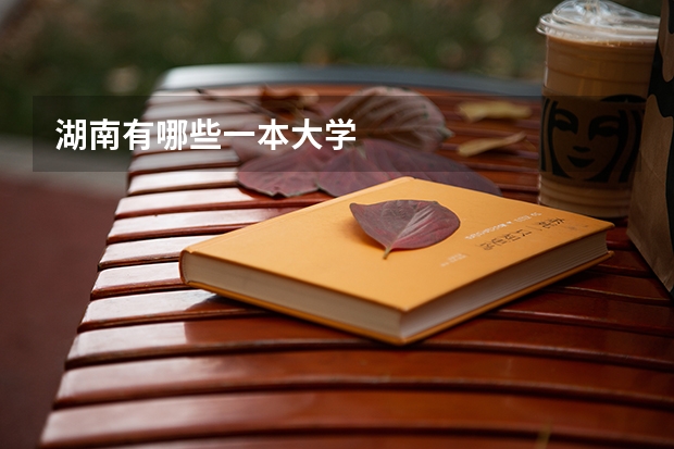 湖南有哪些一本大学