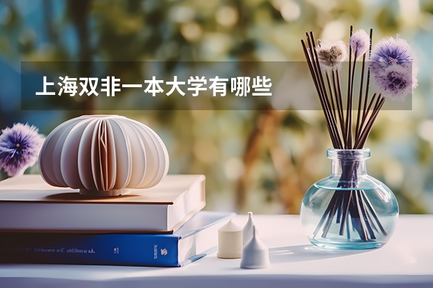 上海双非一本大学有哪些