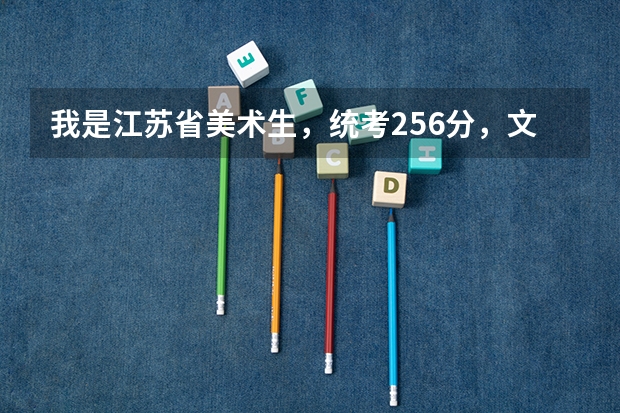 我是江苏省美术生，统考256分，文化一般240左右，能上什么大学啊