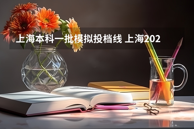 上海本科一批模拟投档线 上海2023年高考投档线
