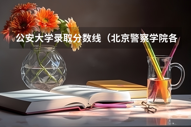 公安大学录取分数线（北京警察学院各专业录取分数线）