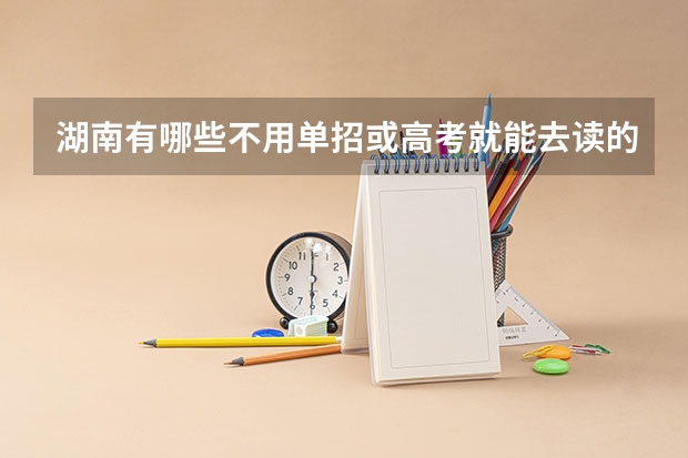 湖南有哪些不用单招或高考就能去读的公办学校或比较好的民办学校？