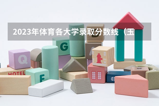 2023年体育各大学录取分数线（玉林师范学院体育生录取分数线）