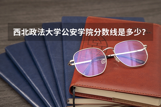西北政法大学公安学院分数线是多少？