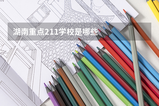 湖南重点211学校是哪些
