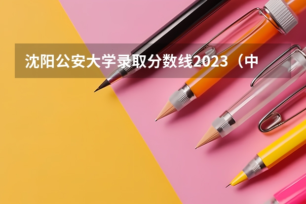 沈阳公安大学录取分数线2023（中国人民公安大学陕西录取分数线）