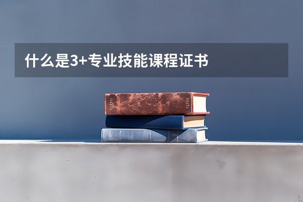 什么是3+专业技能课程证书
