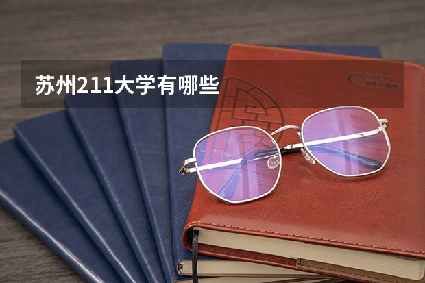 苏州211大学有哪些