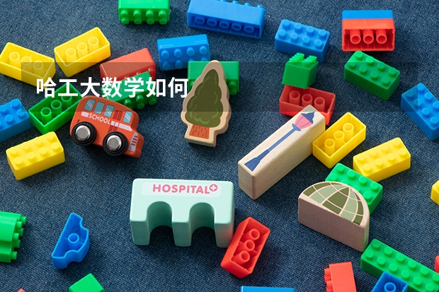 哈工大数学如何
