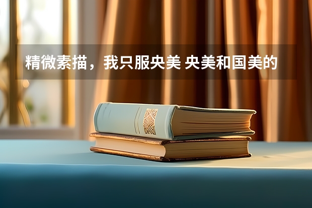 精微素描,我只服央美 央美和国美的艺考色彩风格?南方和北方的评分标准不同么?