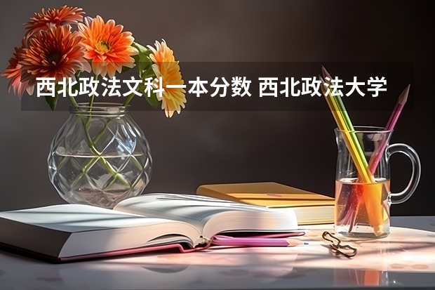 西北政法文科一本分数 西北政法大学录取分数线