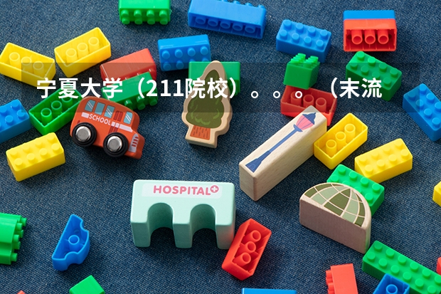 宁夏大学（211院校）。。。（末流211大学名单最后20名）