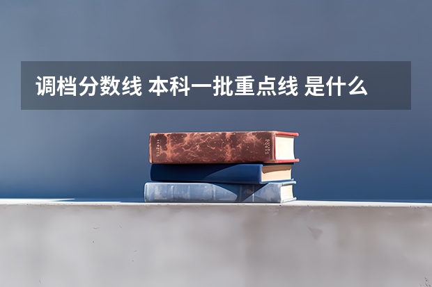 调档分数线 本科一批重点线 是什么意思？