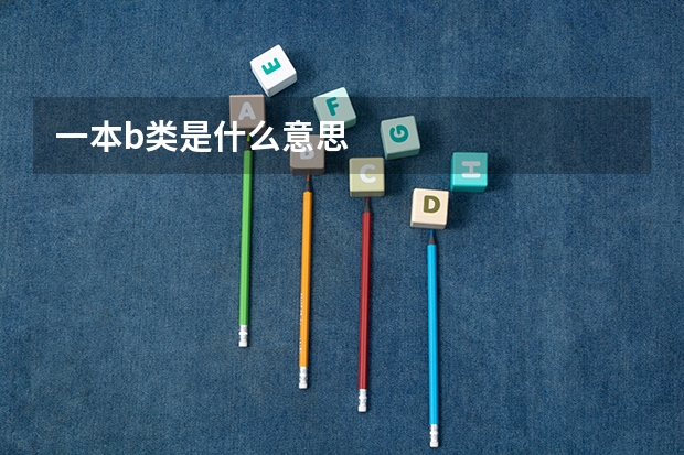 一本b类是什么意思