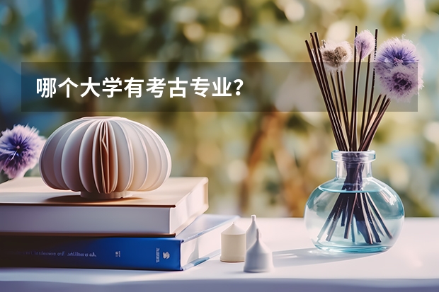 哪个大学有考古专业？