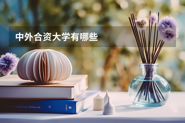 中外合资大学有哪些