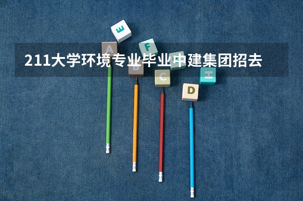 211大学环境专业毕业中建集团招去安排在哪些岗位?