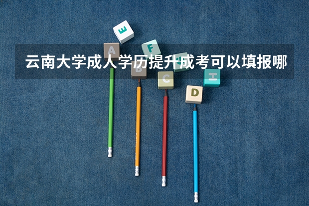 云南大学成人学历提升成考可以填报哪些专业?