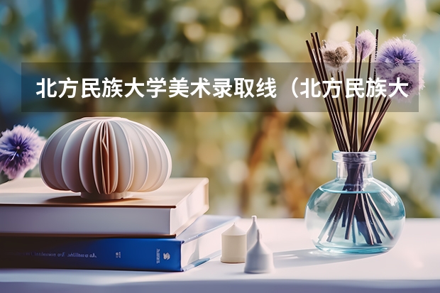 北方民族大学美术录取线（北方民族大学预科班分数线2023）