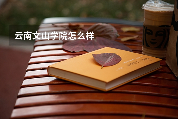 云南文山学院怎么样