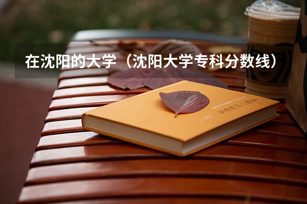 在沈阳的大学（沈阳大学专科分数线）