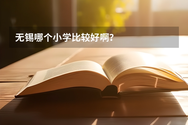 无锡哪个小学比较好啊？