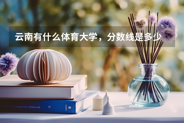 云南有什么体育大学，分数线是多少