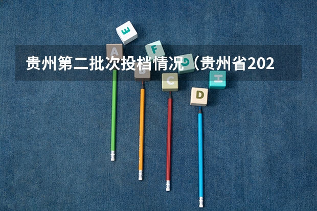 贵州第二批次投档情况（贵州省2023年高考二本分数线）